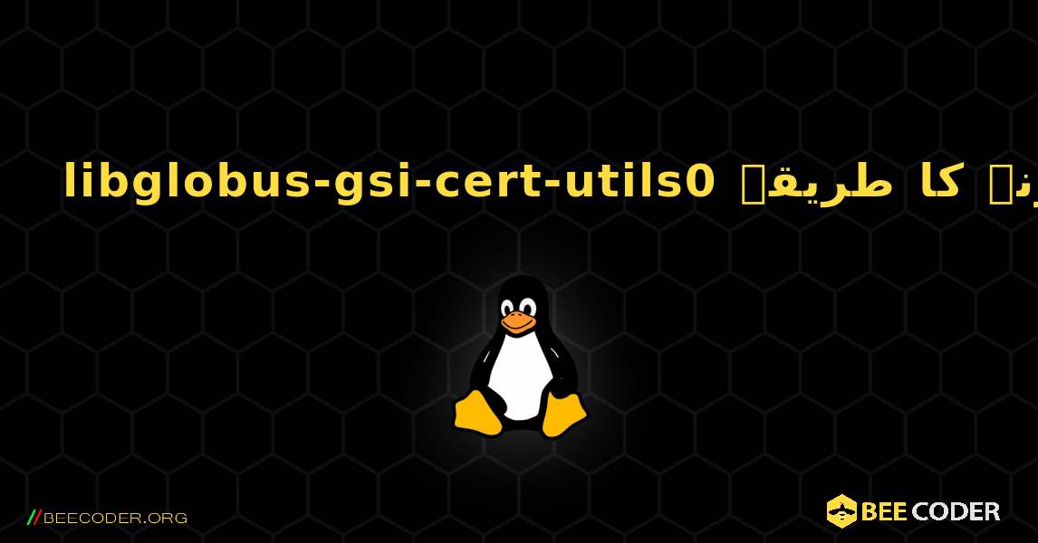 libglobus-gsi-cert-utils0  انسٹال کرنے کا طریقہ. Linux