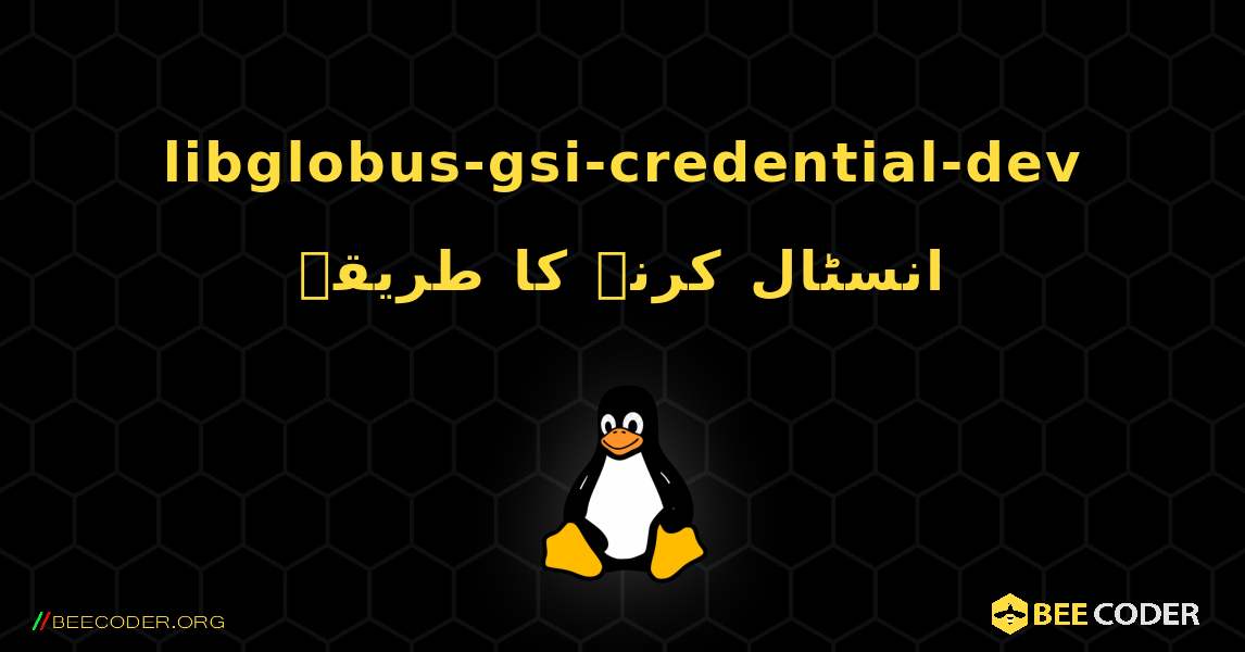 libglobus-gsi-credential-dev  انسٹال کرنے کا طریقہ. Linux