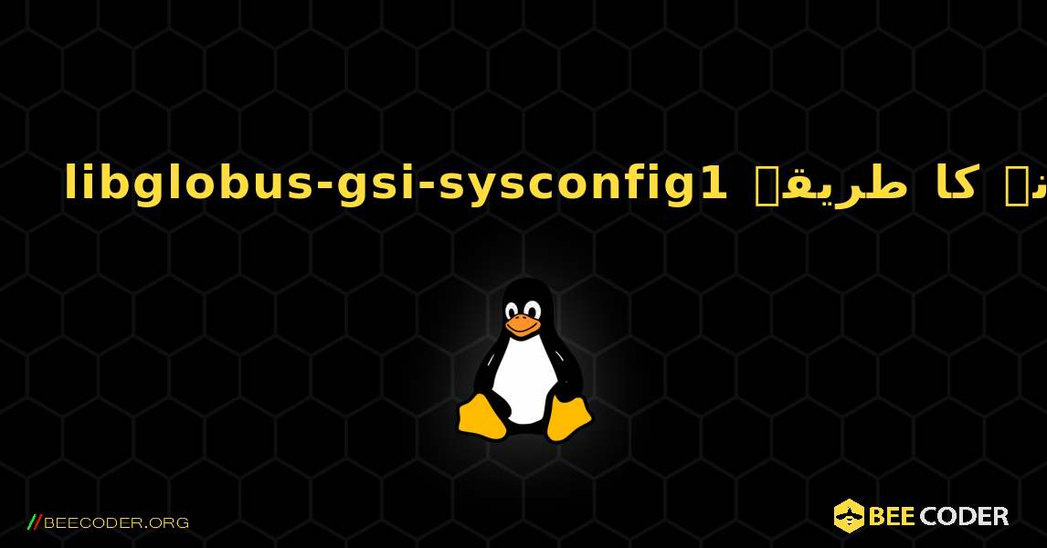 libglobus-gsi-sysconfig1  انسٹال کرنے کا طریقہ. Linux