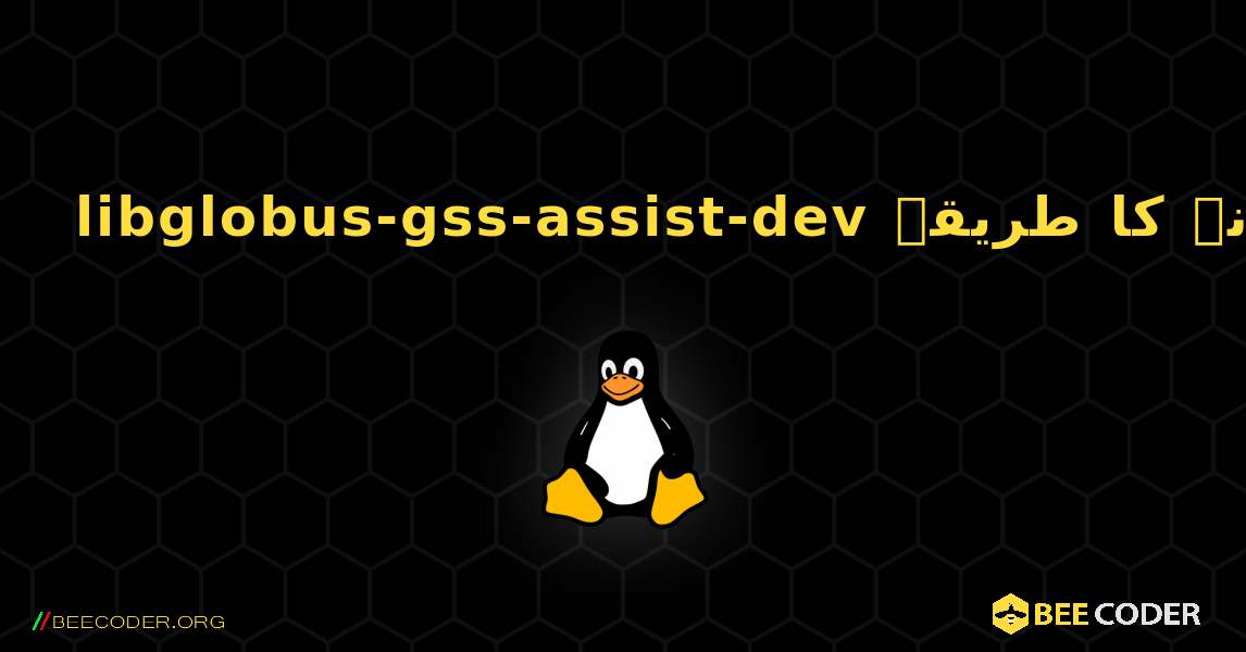 libglobus-gss-assist-dev  انسٹال کرنے کا طریقہ. Linux