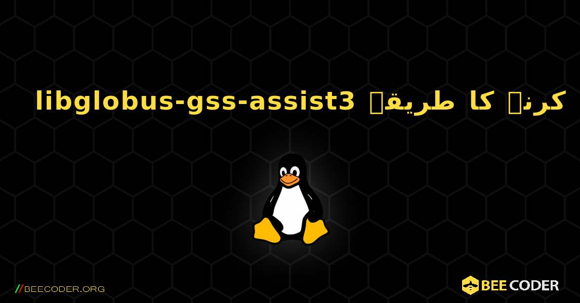 libglobus-gss-assist3  انسٹال کرنے کا طریقہ. Linux