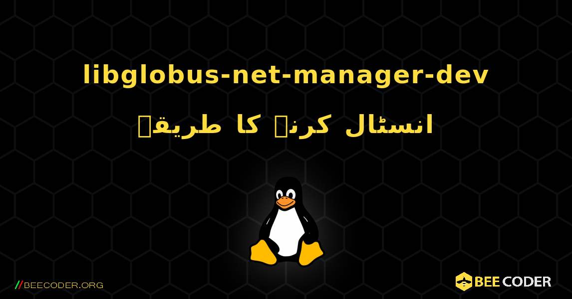 libglobus-net-manager-dev  انسٹال کرنے کا طریقہ. Linux