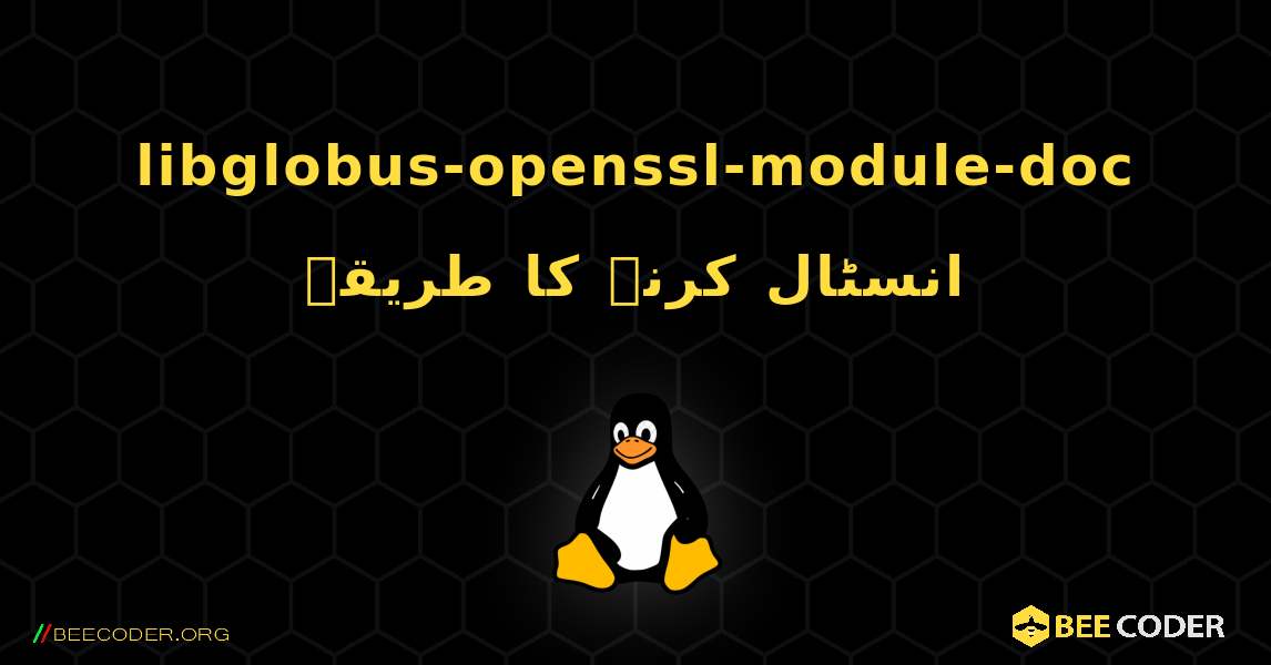 libglobus-openssl-module-doc  انسٹال کرنے کا طریقہ. Linux