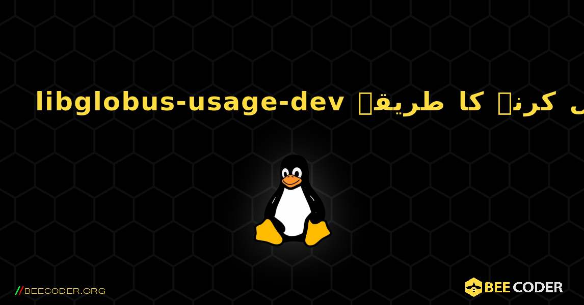 libglobus-usage-dev  انسٹال کرنے کا طریقہ. Linux