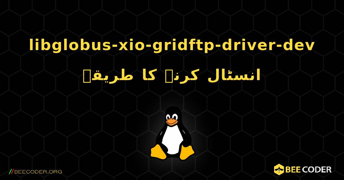 libglobus-xio-gridftp-driver-dev  انسٹال کرنے کا طریقہ. Linux