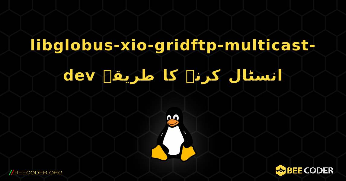 libglobus-xio-gridftp-multicast-dev  انسٹال کرنے کا طریقہ. Linux