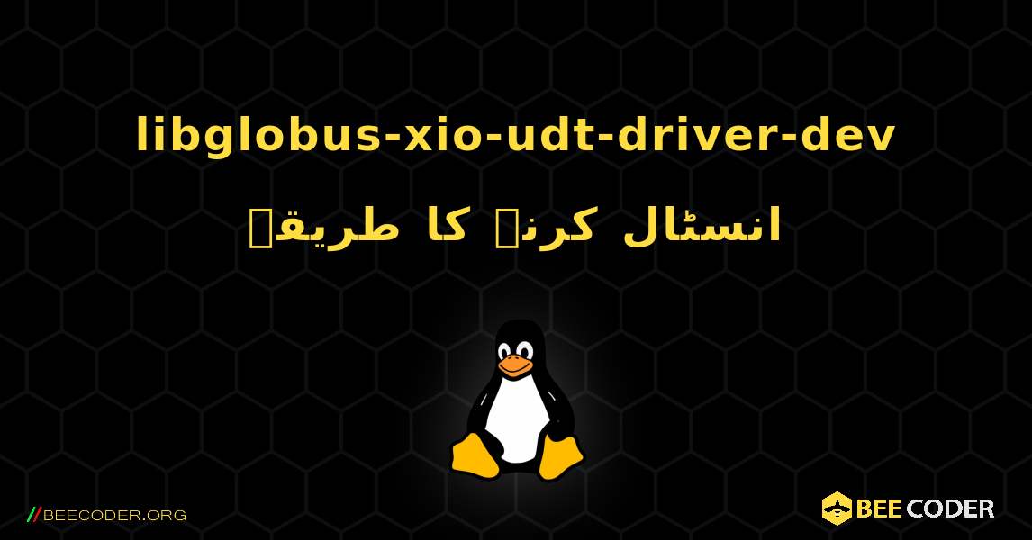 libglobus-xio-udt-driver-dev  انسٹال کرنے کا طریقہ. Linux