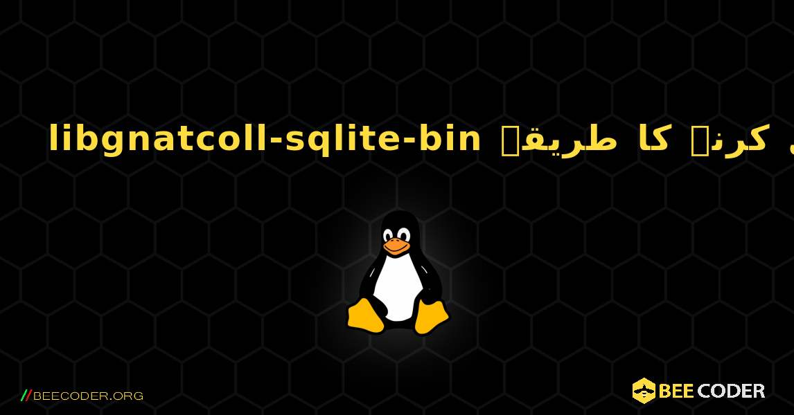 libgnatcoll-sqlite-bin  انسٹال کرنے کا طریقہ. Linux