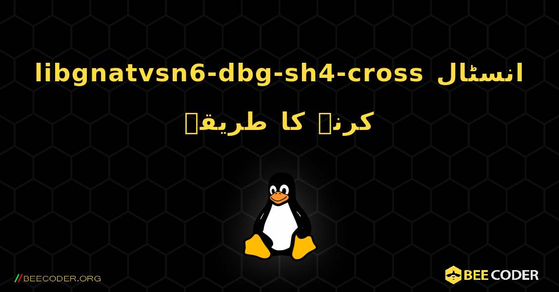 libgnatvsn6-dbg-sh4-cross  انسٹال کرنے کا طریقہ. Linux