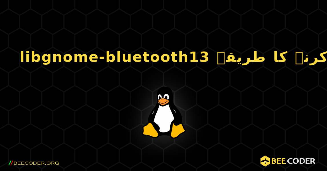 libgnome-bluetooth13  انسٹال کرنے کا طریقہ. Linux