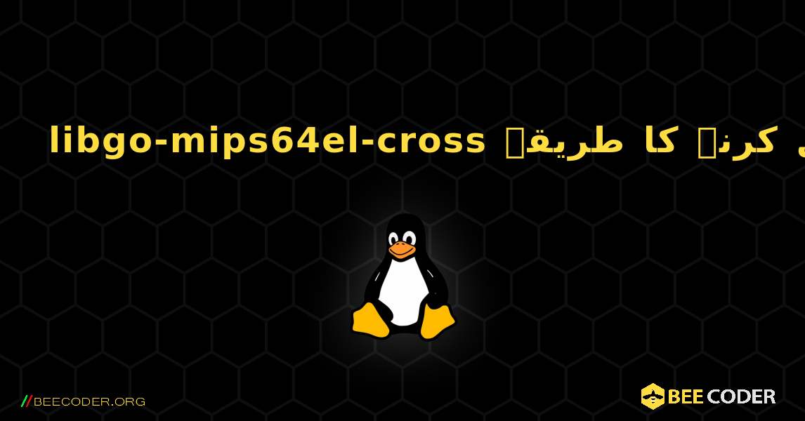 libgo-mips64el-cross  انسٹال کرنے کا طریقہ. Linux