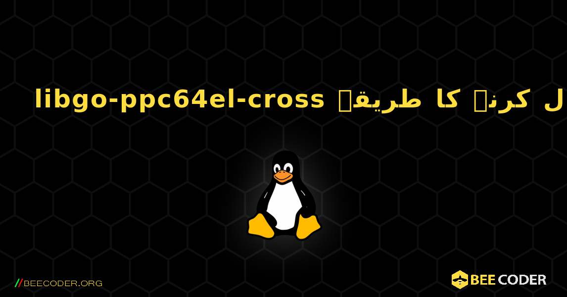 libgo-ppc64el-cross  انسٹال کرنے کا طریقہ. Linux