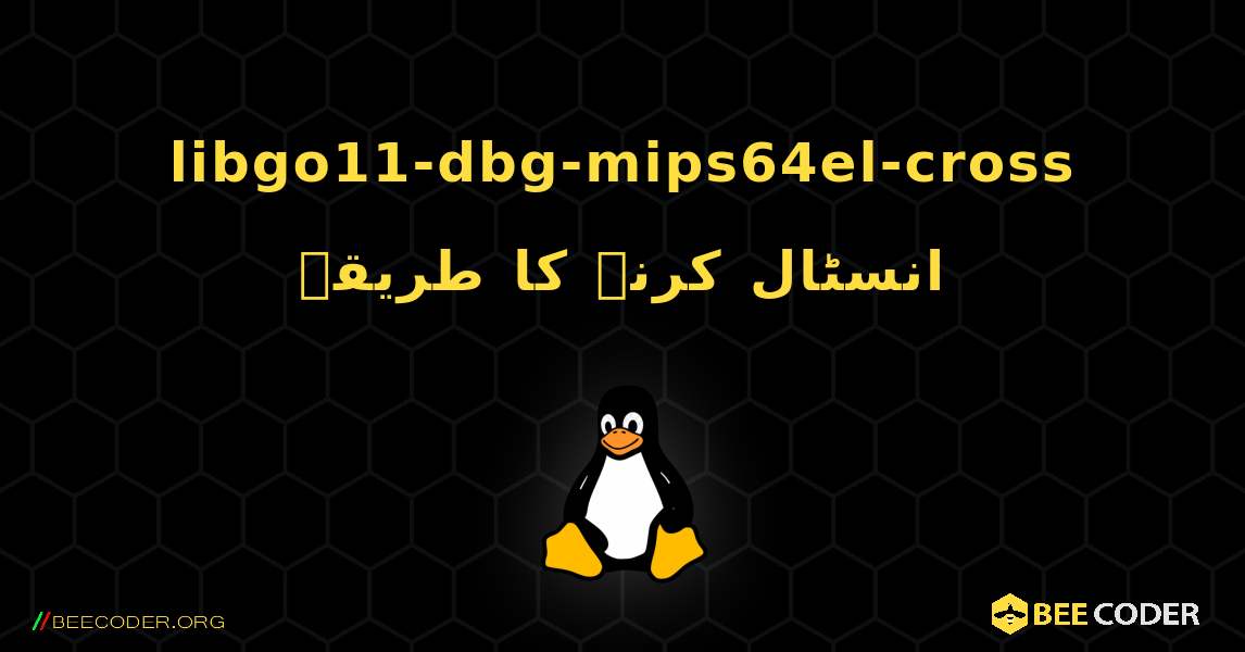 libgo11-dbg-mips64el-cross  انسٹال کرنے کا طریقہ. Linux