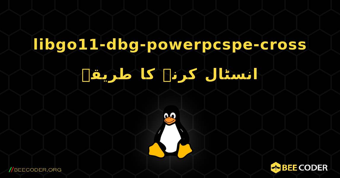 libgo11-dbg-powerpcspe-cross  انسٹال کرنے کا طریقہ. Linux