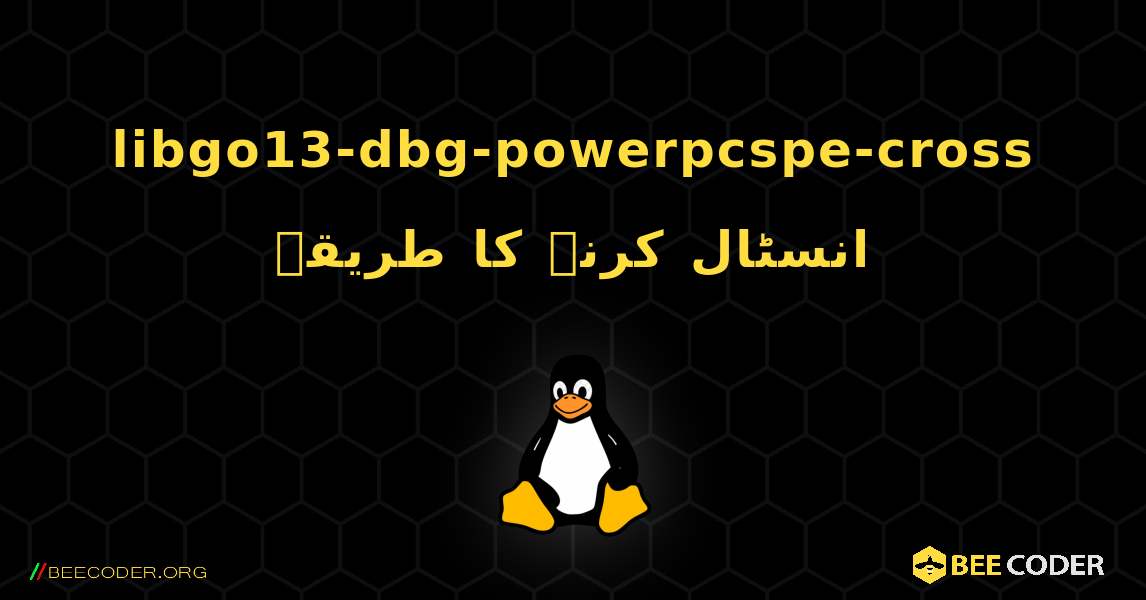 libgo13-dbg-powerpcspe-cross  انسٹال کرنے کا طریقہ. Linux
