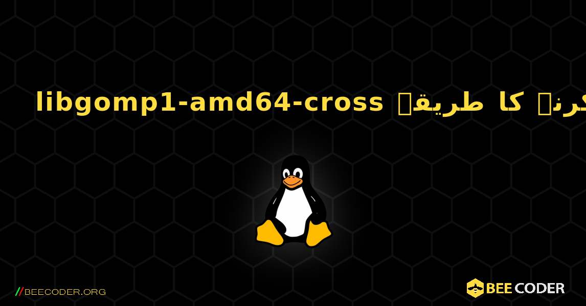libgomp1-amd64-cross  انسٹال کرنے کا طریقہ. Linux
