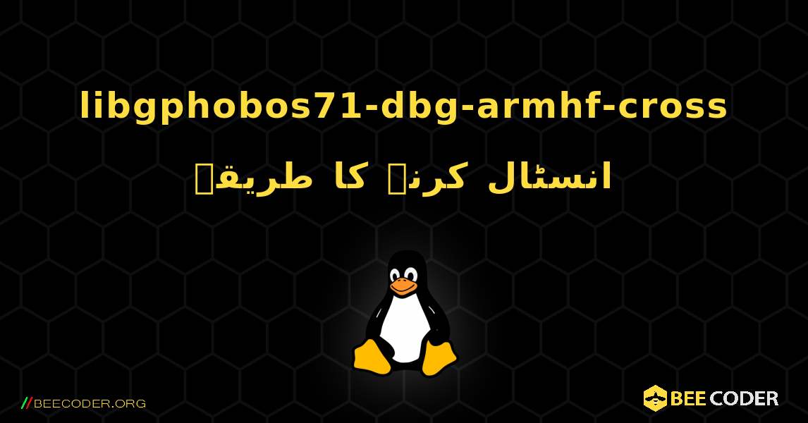 libgphobos71-dbg-armhf-cross  انسٹال کرنے کا طریقہ. Linux