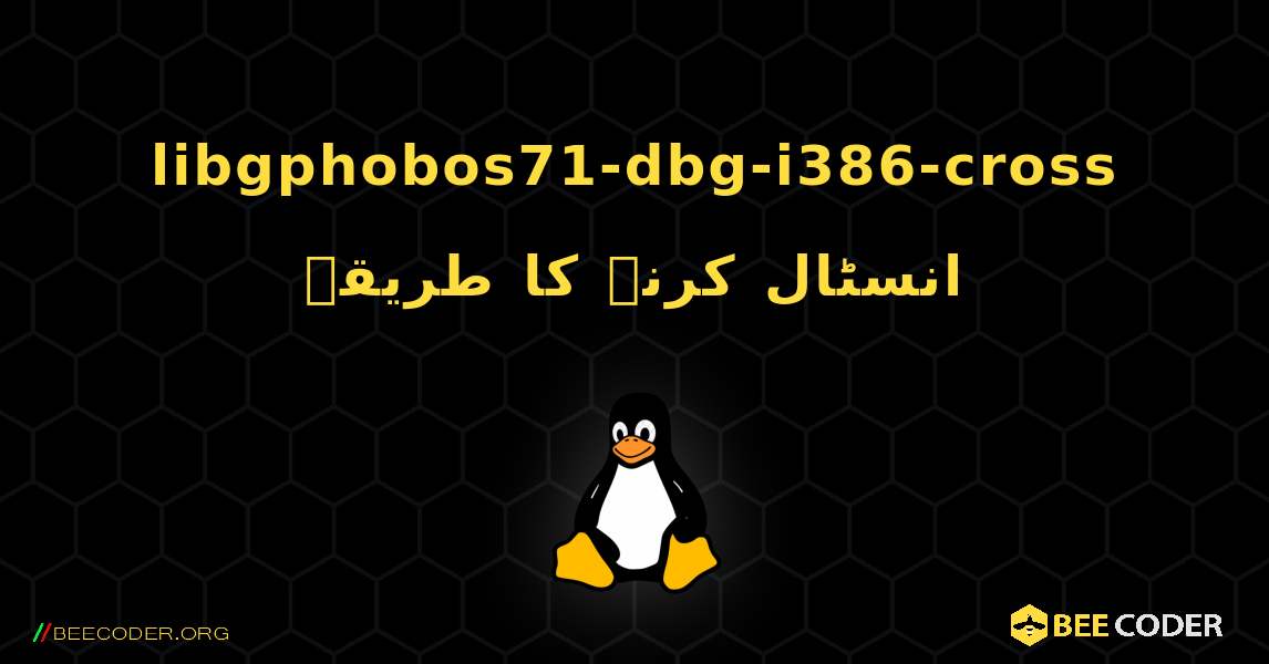 libgphobos71-dbg-i386-cross  انسٹال کرنے کا طریقہ. Linux