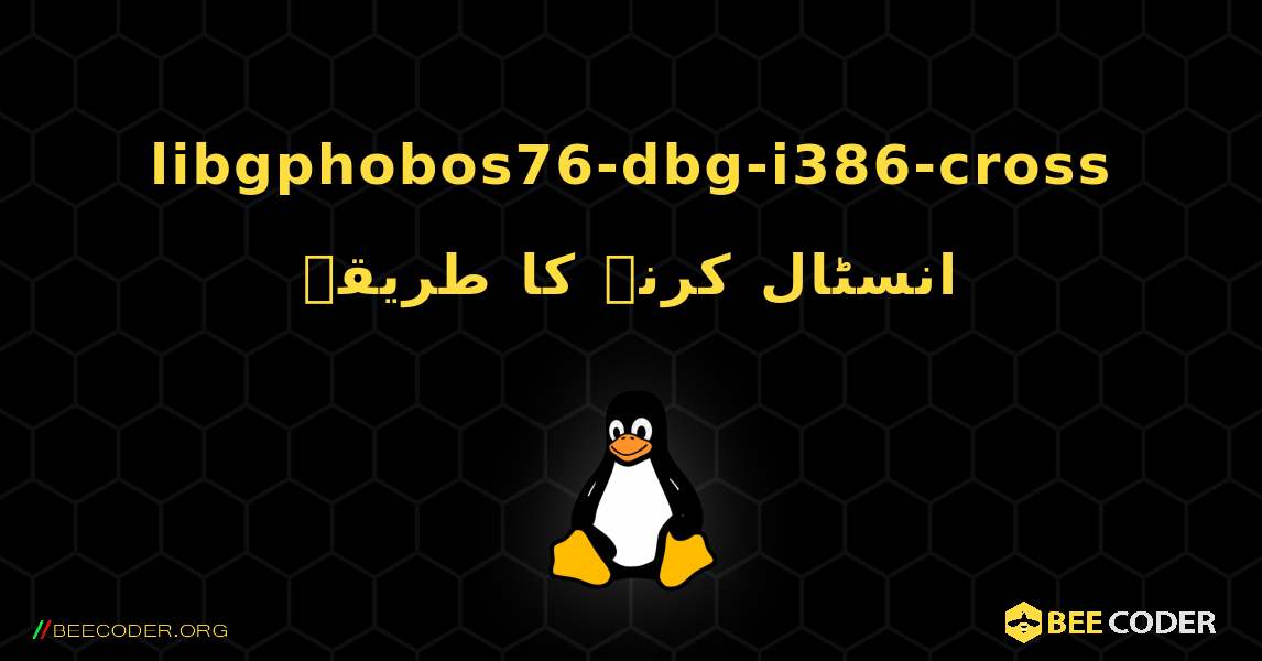 libgphobos76-dbg-i386-cross  انسٹال کرنے کا طریقہ. Linux