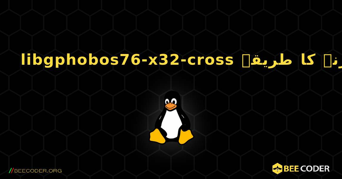 libgphobos76-x32-cross  انسٹال کرنے کا طریقہ. Linux