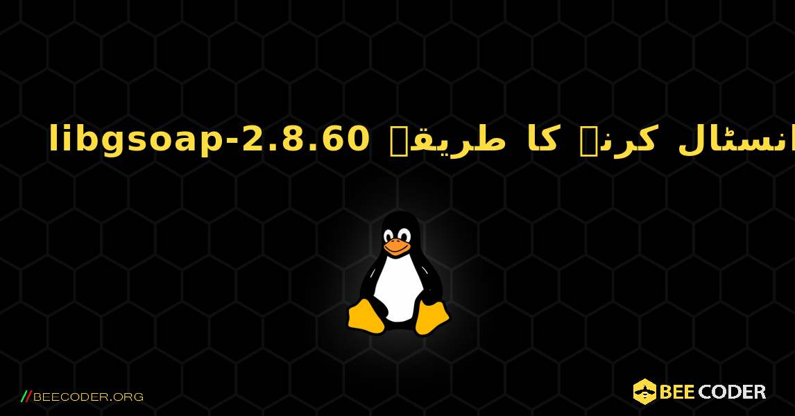 libgsoap-2.8.60  انسٹال کرنے کا طریقہ. Linux