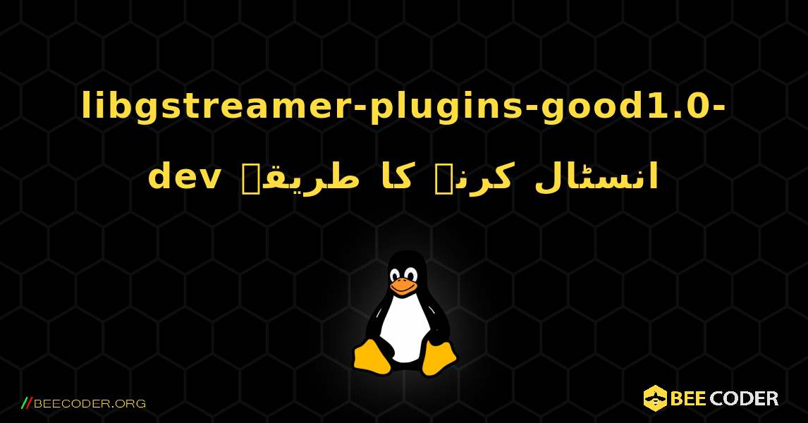 libgstreamer-plugins-good1.0-dev  انسٹال کرنے کا طریقہ. Linux