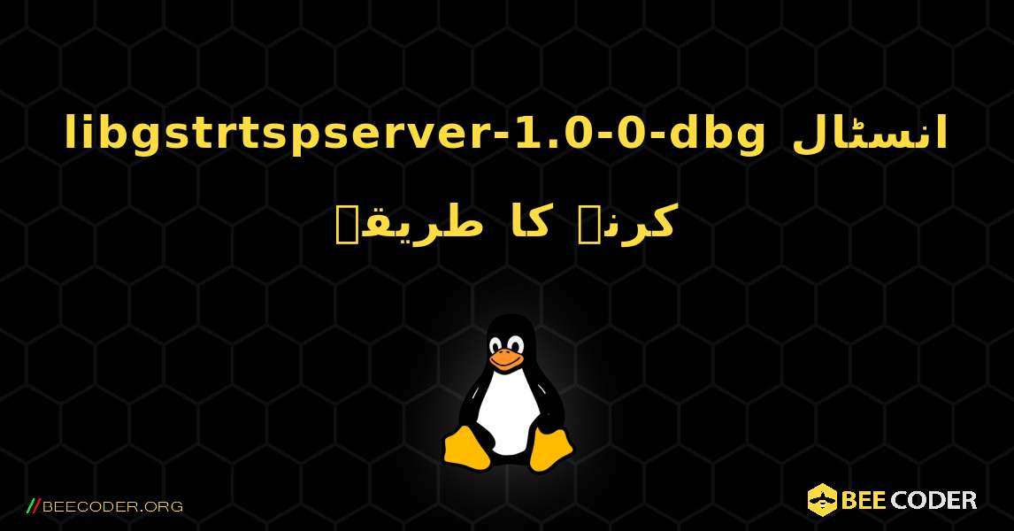 libgstrtspserver-1.0-0-dbg  انسٹال کرنے کا طریقہ. Linux