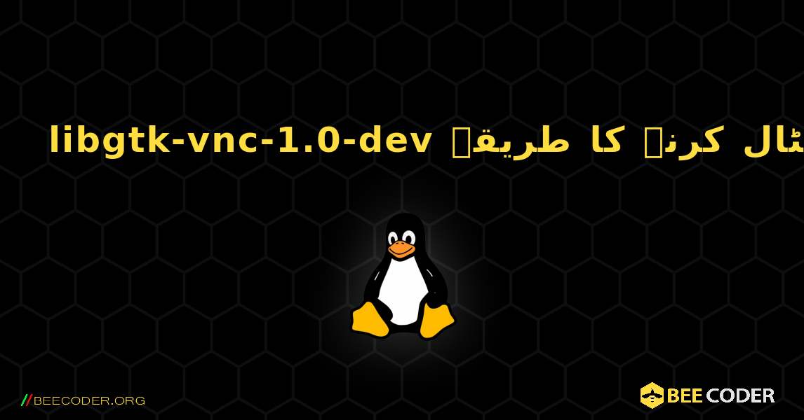 libgtk-vnc-1.0-dev  انسٹال کرنے کا طریقہ. Linux