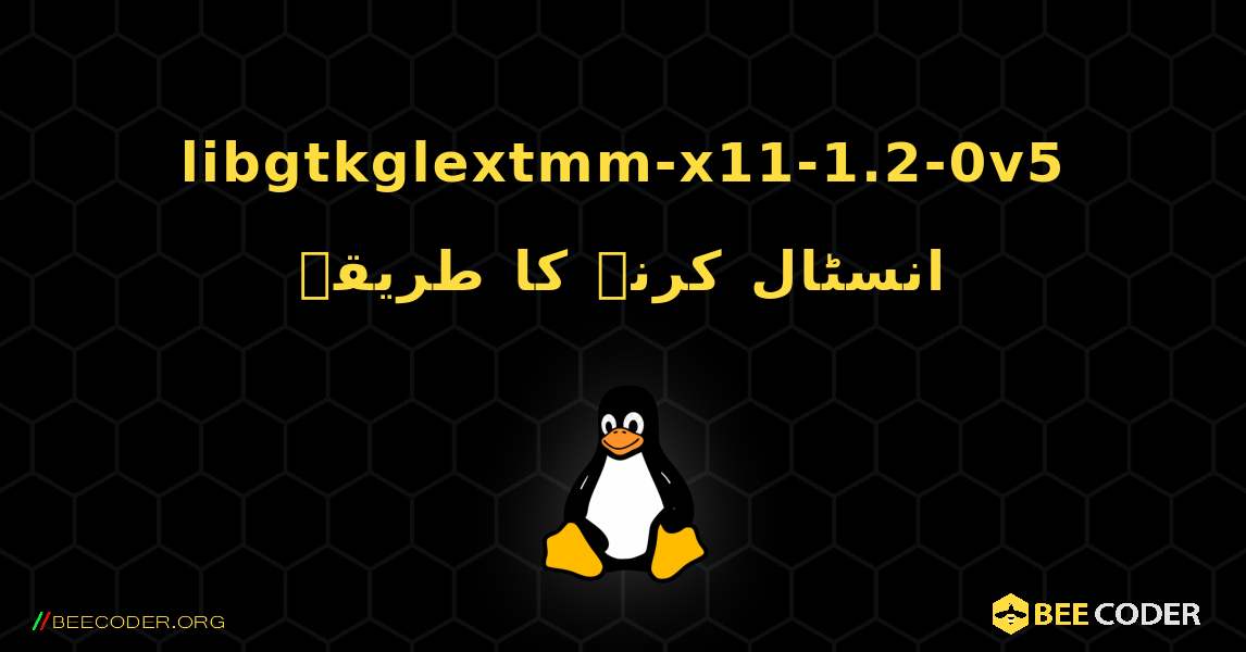 libgtkglextmm-x11-1.2-0v5  انسٹال کرنے کا طریقہ. Linux