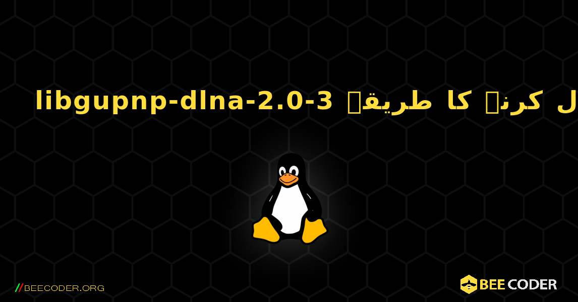 libgupnp-dlna-2.0-3  انسٹال کرنے کا طریقہ. Linux