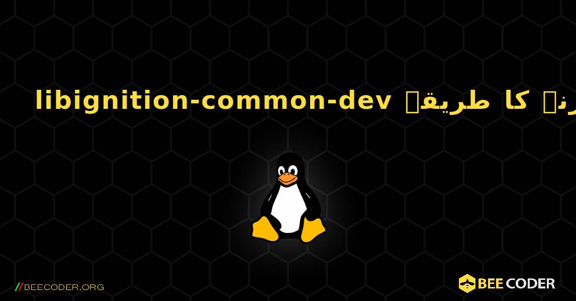 libignition-common-dev  انسٹال کرنے کا طریقہ. Linux