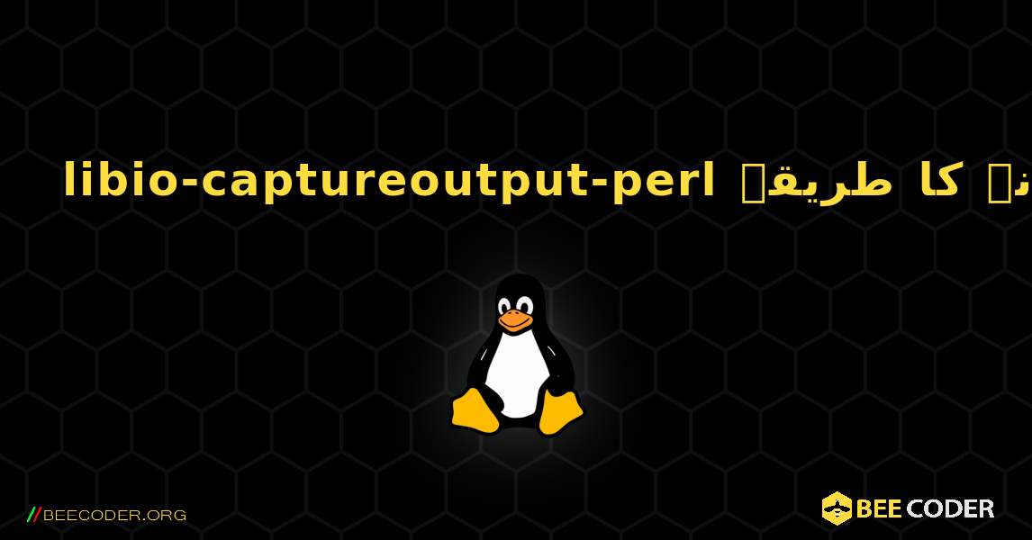 libio-captureoutput-perl  انسٹال کرنے کا طریقہ. Linux