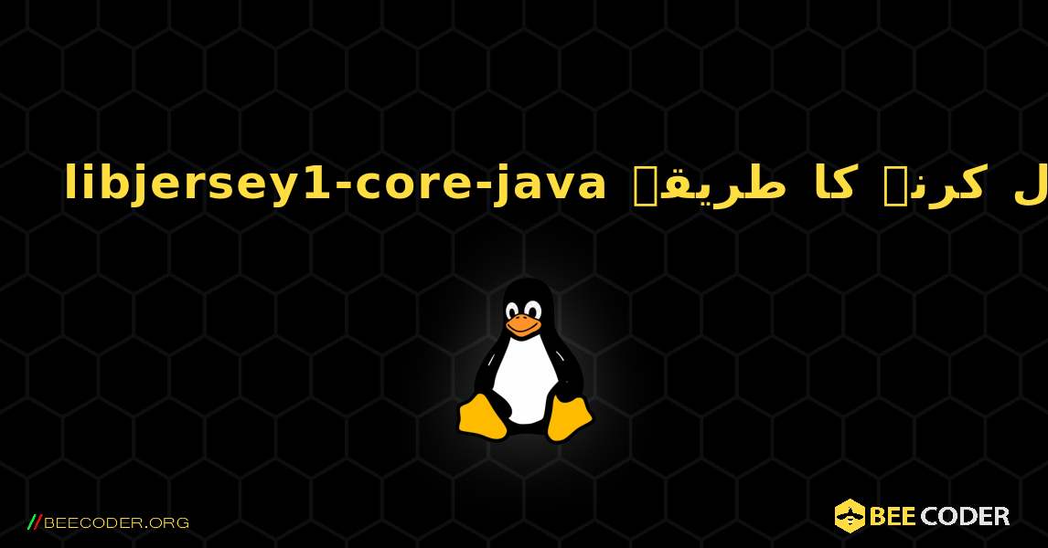 libjersey1-core-java  انسٹال کرنے کا طریقہ. Linux