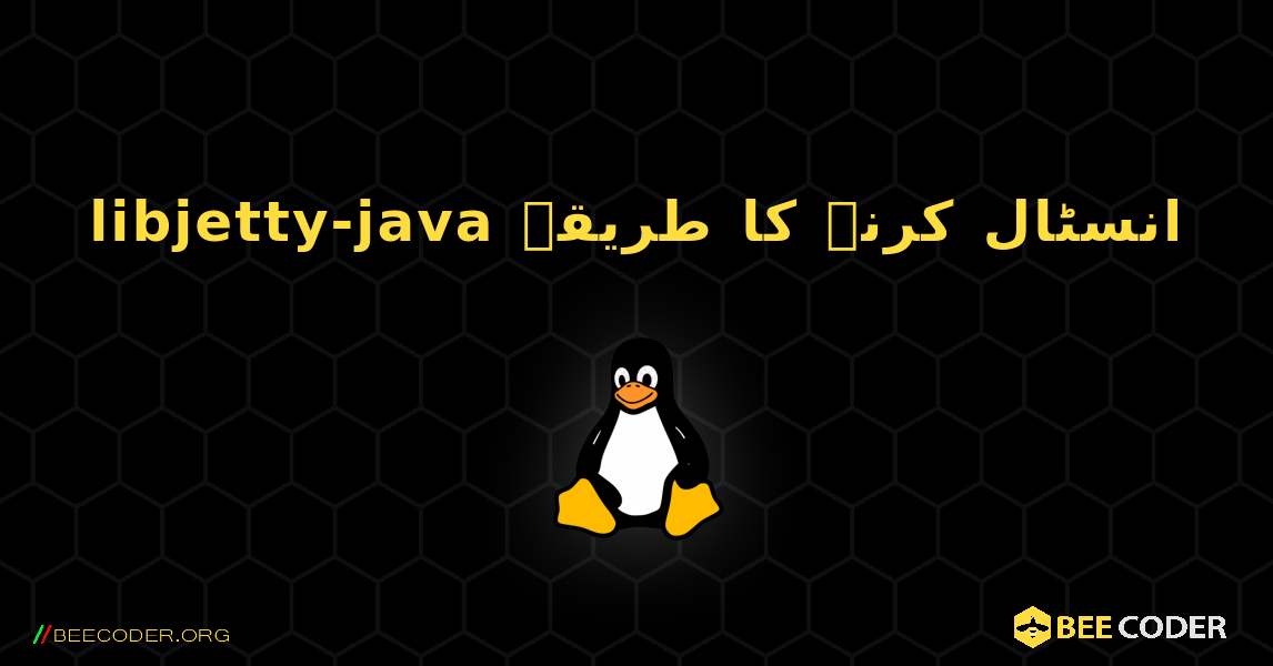 libjetty-java  انسٹال کرنے کا طریقہ. Linux