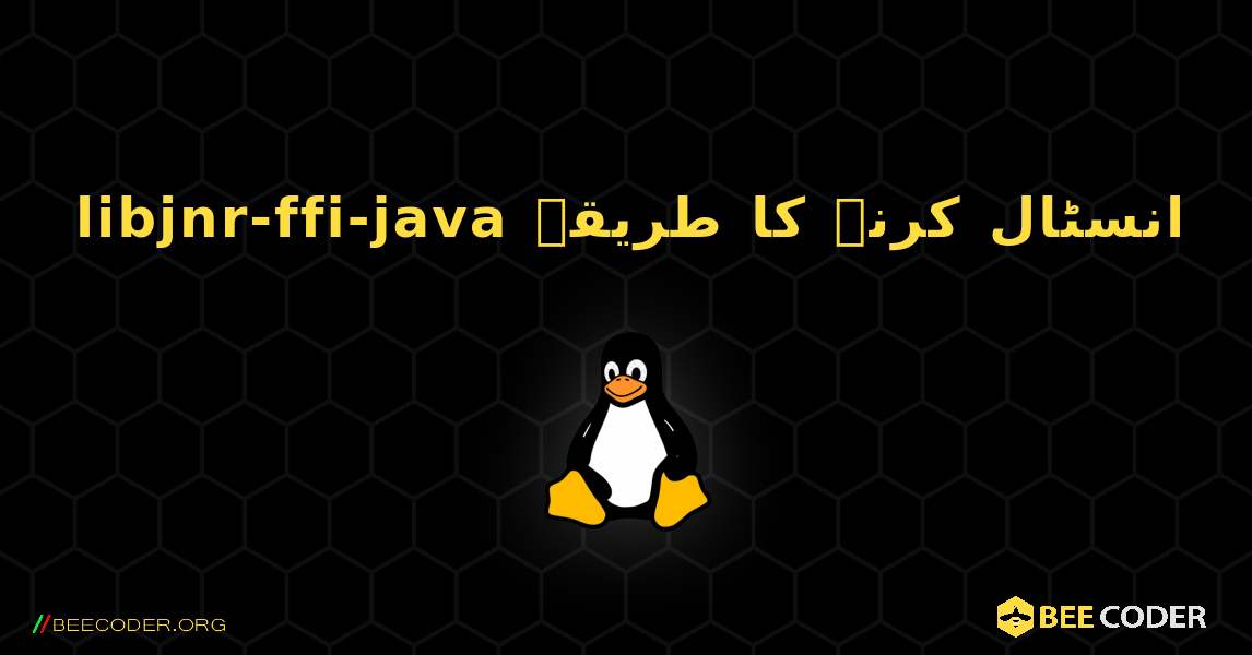 libjnr-ffi-java  انسٹال کرنے کا طریقہ. Linux