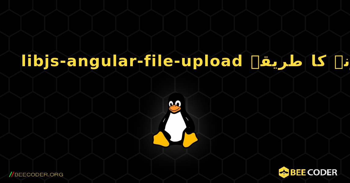 libjs-angular-file-upload  انسٹال کرنے کا طریقہ. Linux