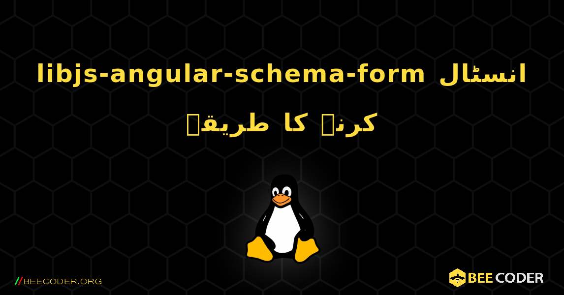 libjs-angular-schema-form  انسٹال کرنے کا طریقہ. Linux