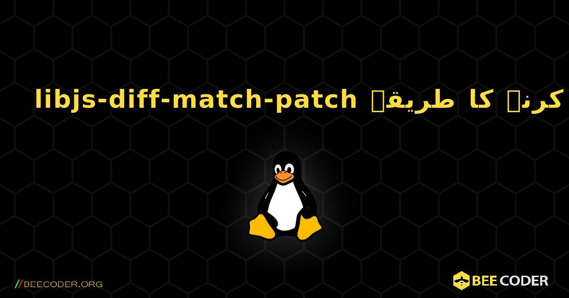 libjs-diff-match-patch  انسٹال کرنے کا طریقہ. Linux