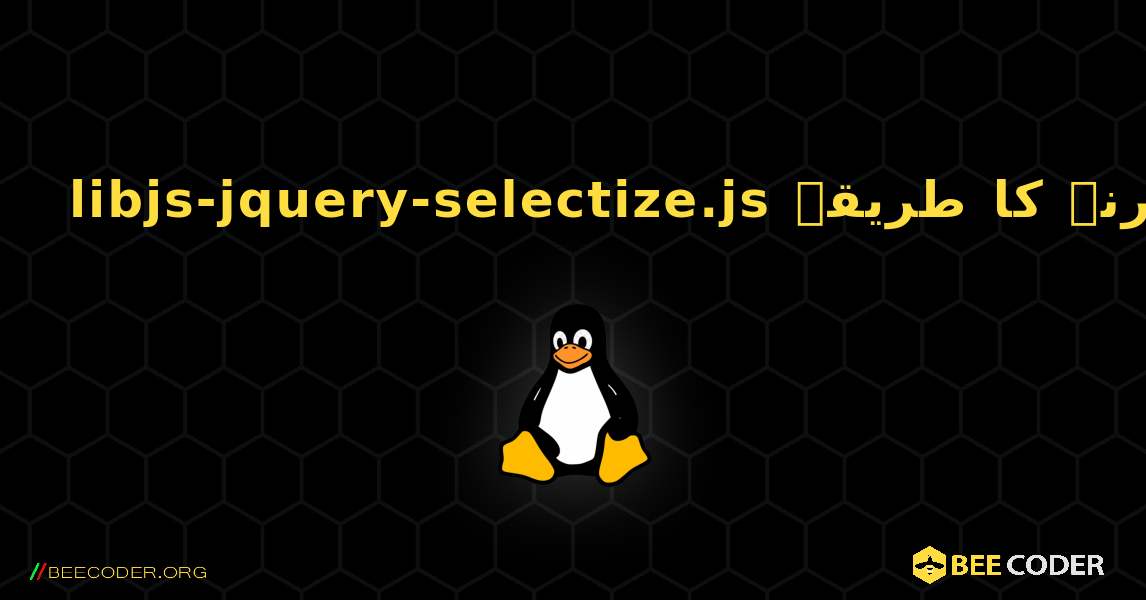 libjs-jquery-selectize.js  انسٹال کرنے کا طریقہ. Linux