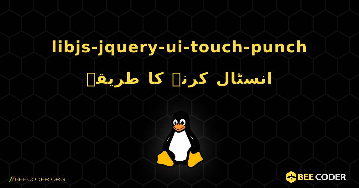 libjs-jquery-ui-touch-punch  انسٹال کرنے کا طریقہ. Linux