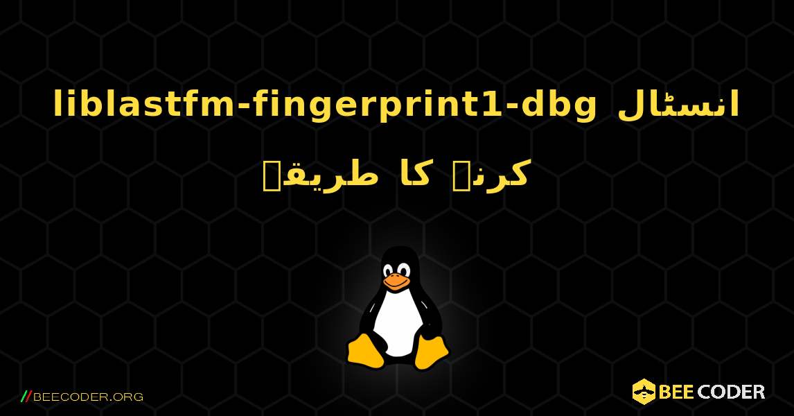 liblastfm-fingerprint1-dbg  انسٹال کرنے کا طریقہ. Linux