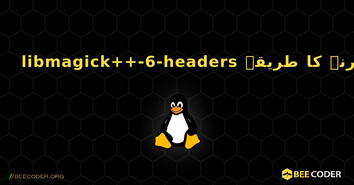 libmagick++-6-headers  انسٹال کرنے کا طریقہ. Linux