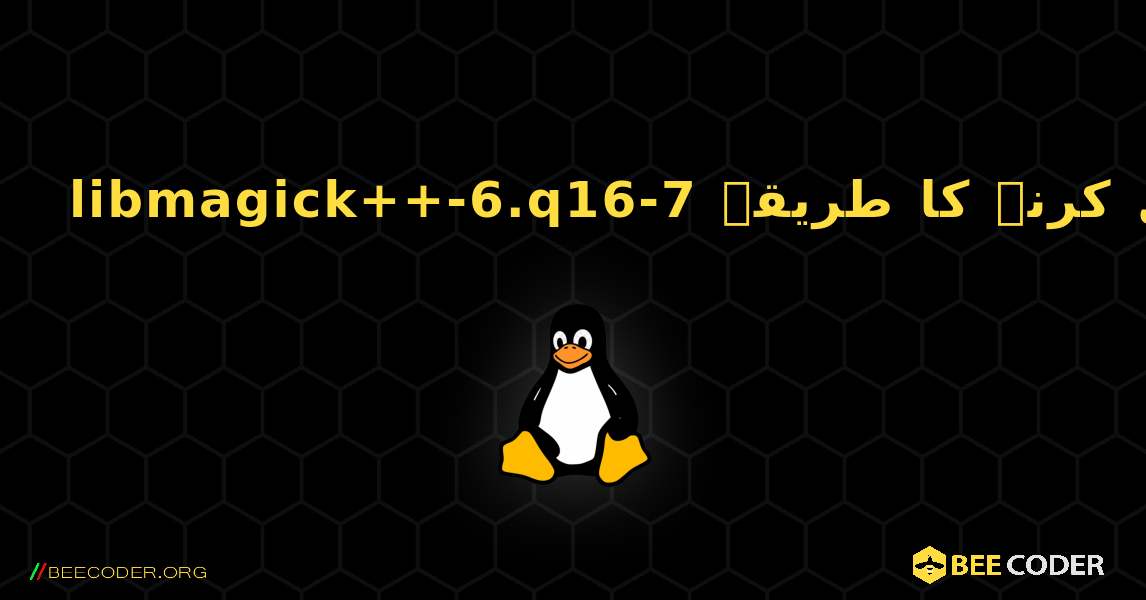 libmagick++-6.q16-7  انسٹال کرنے کا طریقہ. Linux