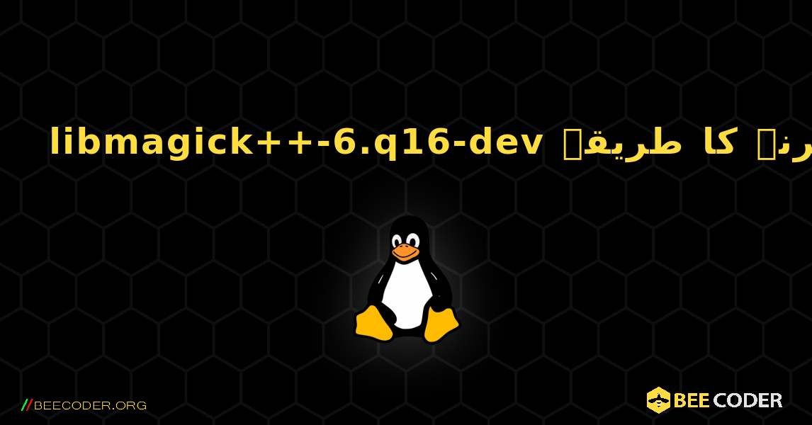 libmagick++-6.q16-dev  انسٹال کرنے کا طریقہ. Linux