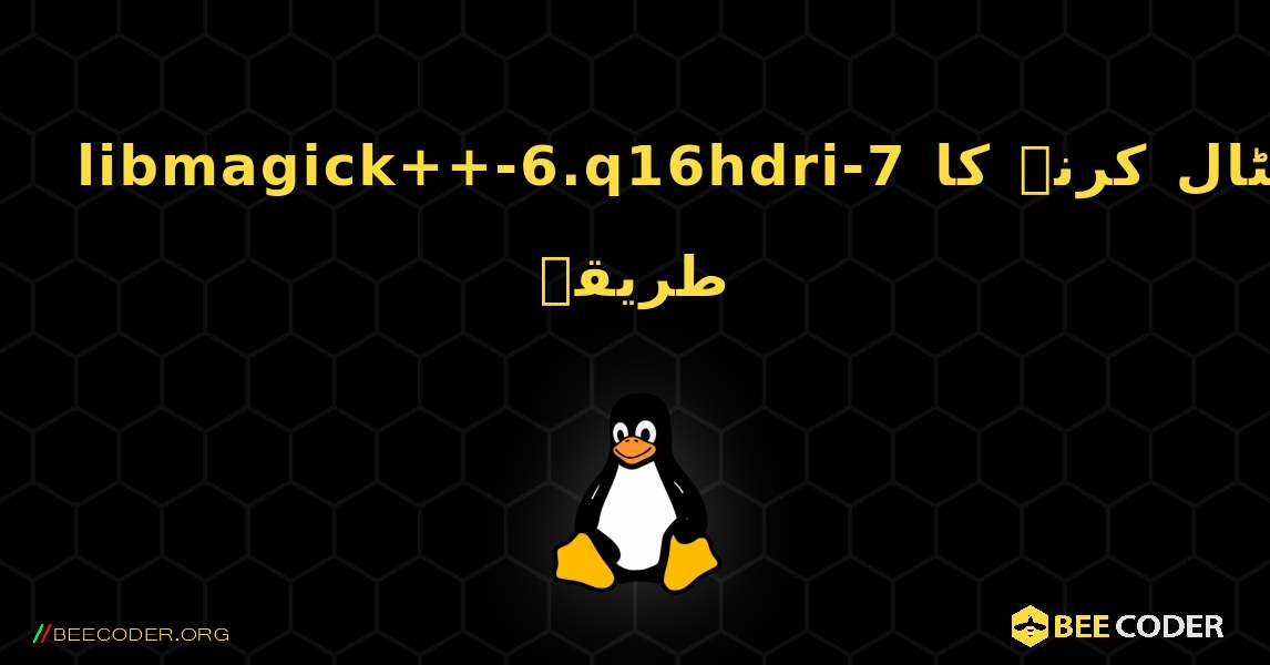 libmagick++-6.q16hdri-7  انسٹال کرنے کا طریقہ. Linux