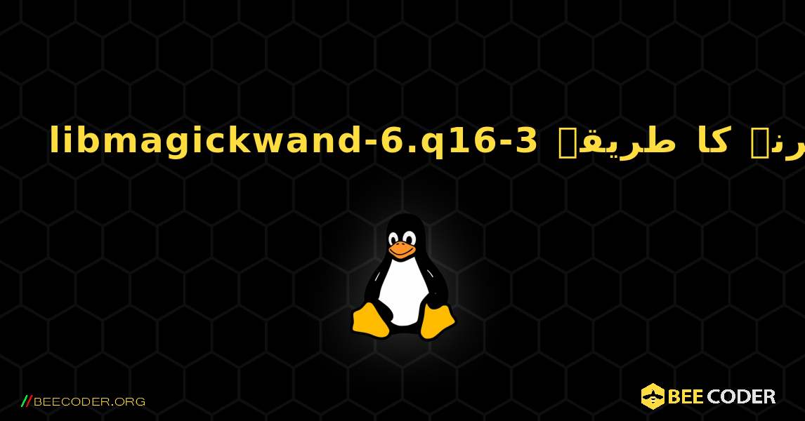 libmagickwand-6.q16-3  انسٹال کرنے کا طریقہ. Linux