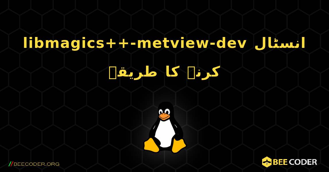 libmagics++-metview-dev  انسٹال کرنے کا طریقہ. Linux