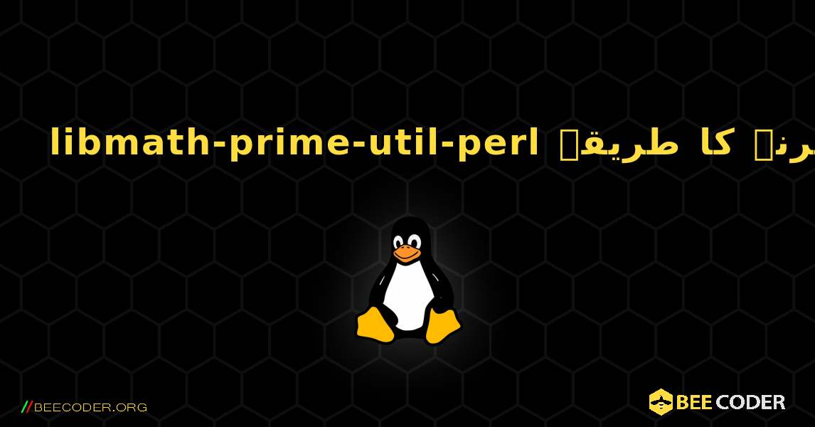 libmath-prime-util-perl  انسٹال کرنے کا طریقہ. Linux