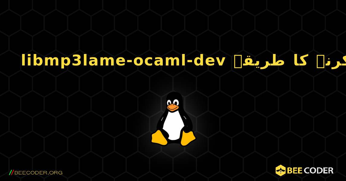 libmp3lame-ocaml-dev  انسٹال کرنے کا طریقہ. Linux