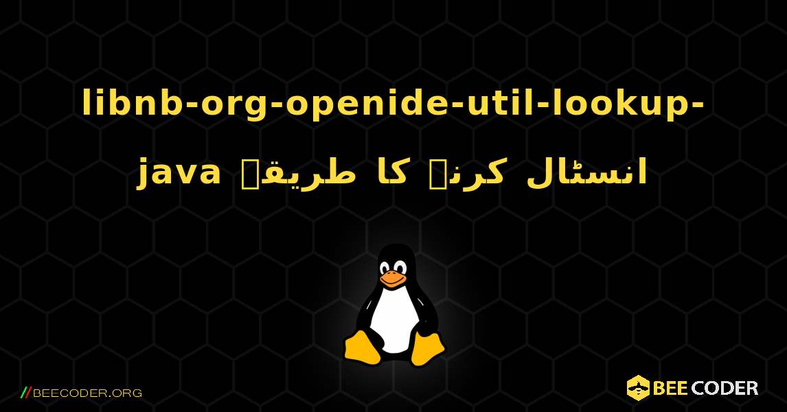 libnb-org-openide-util-lookup-java  انسٹال کرنے کا طریقہ. Linux